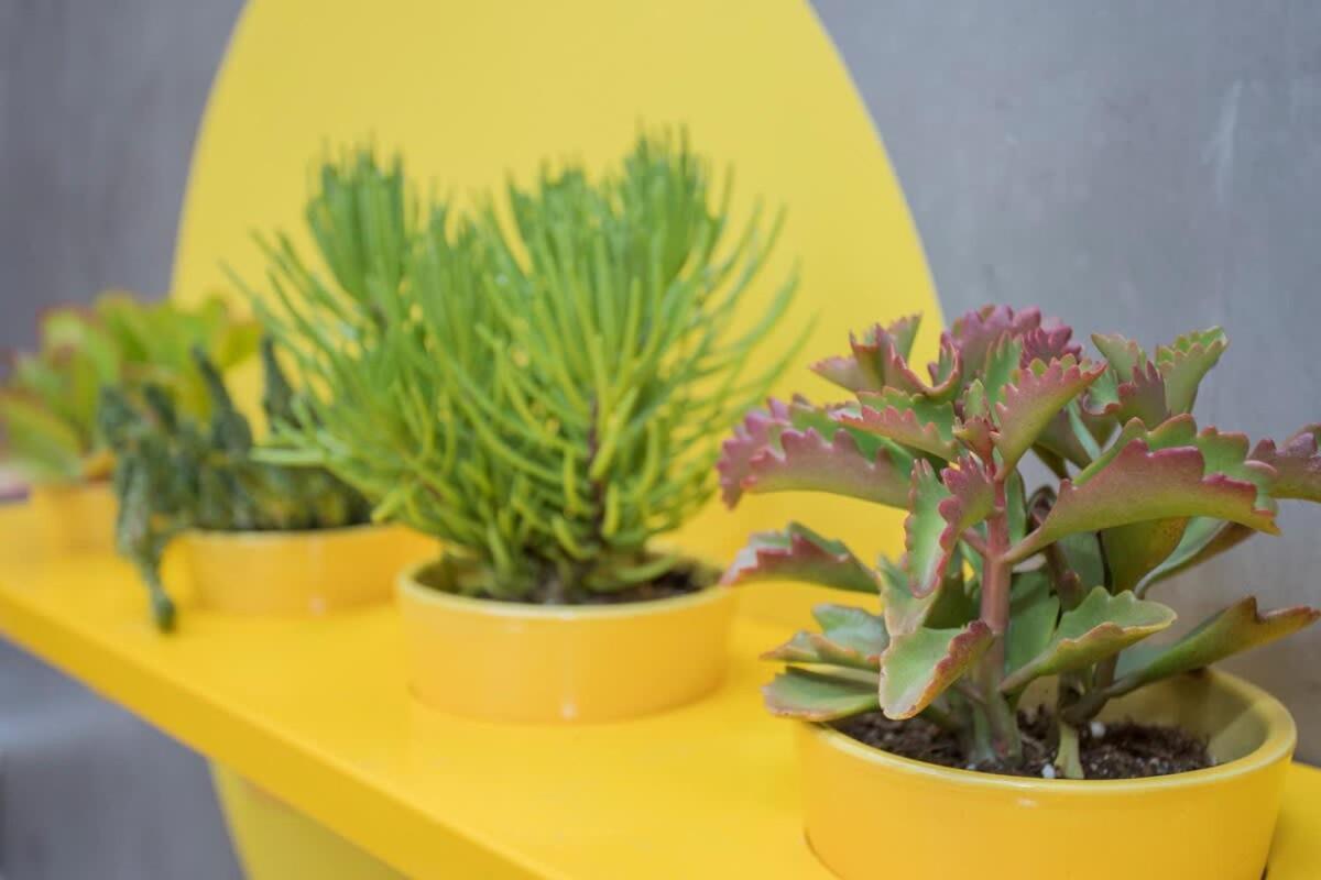 Liiiving In Porto - Clerigos Terrace Apartment Экстерьер фото
