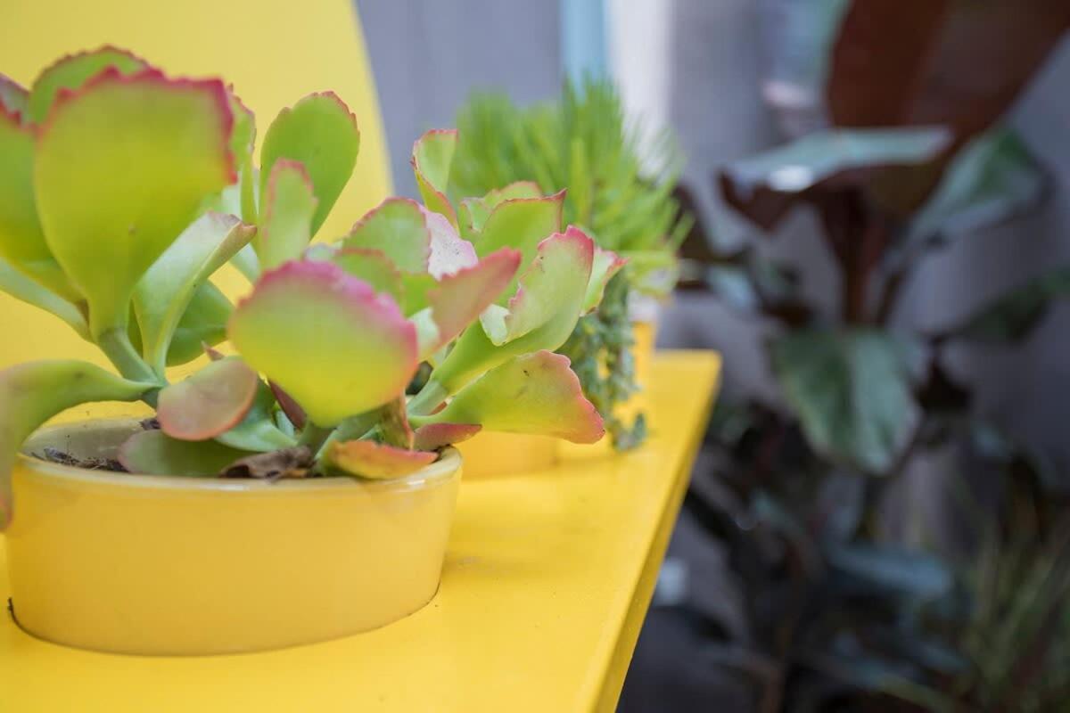 Liiiving In Porto - Clerigos Terrace Apartment Экстерьер фото